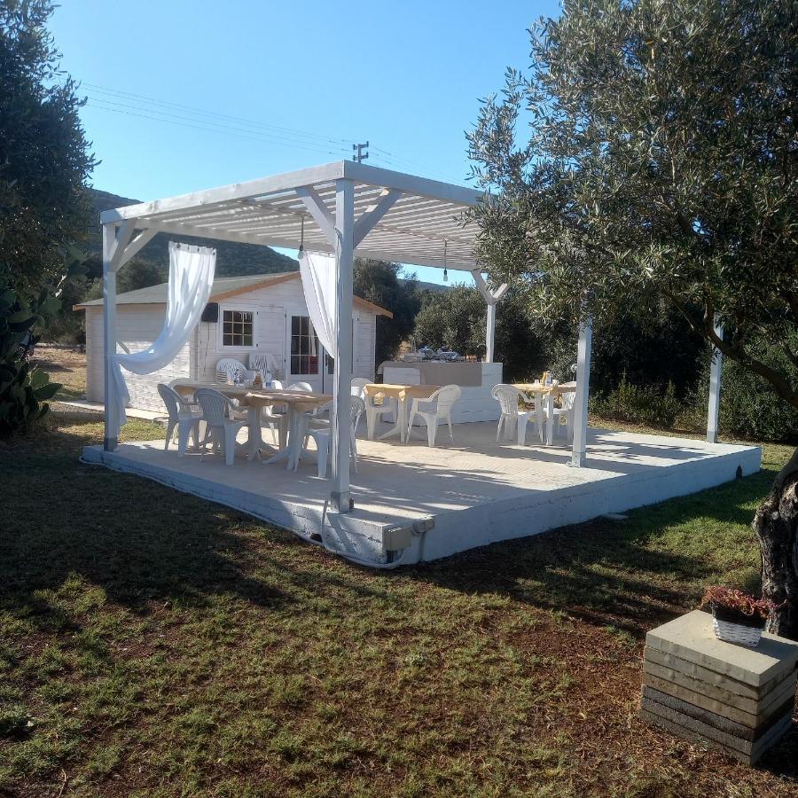 B&B Gli Ulivi SantʼAnna Arresi Εξωτερικό φωτογραφία
